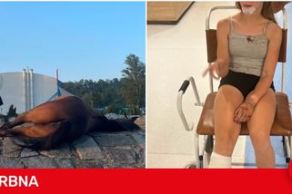 Bezohledný řidič splašil koně. Mladá jezdkyně je vážně zraněná, kůň nepřežil